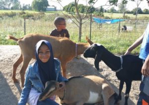 Oak Meadow girl playing with goats - summer activities