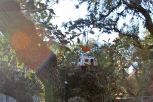 Citrus bird feeder hanging outside in the trees