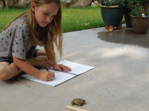 Young girl drawing a frog