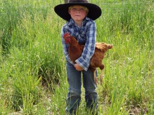 Young boy holding a chicken
