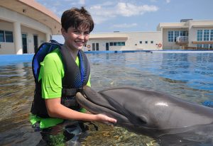 alex with dolphin
