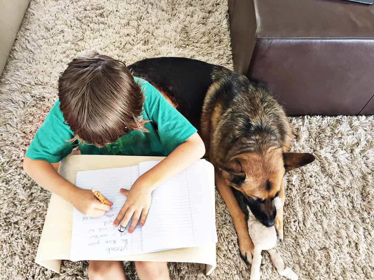 boy studying with dog - Oak Meadow | Providers of Exceptional Homeschool  Curriculum
