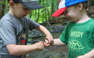 brothers observe dragonfly that landed on their hands