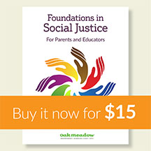 Foundations in Social Justice Course - Buy It Now For $15
