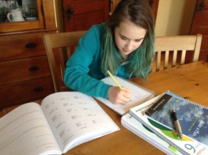 Oak Meadow gifted student studying at kitchen table