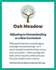 Clickable image of Adjusting to Homeschooling printable