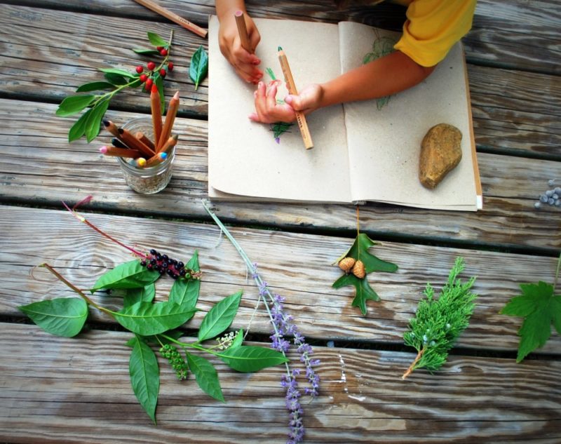 Oak Meadow student doing assignment outside with leaves