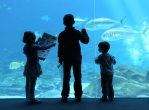 Family of three children looking at fish in a big aquarium