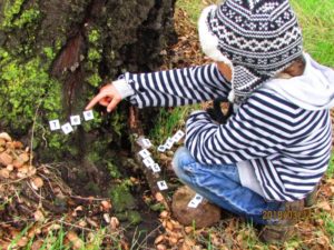 Oak Meadow student learning to spell with titles outdoors