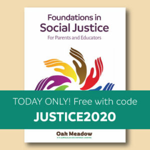 Foundations in Social Justice - Download FREE using code JUSTICE2020 - MLK Day Only