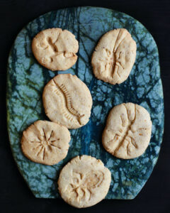 Martha Stewart Fossil Cookies