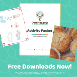 Curriculum Activity Packet #3 - Oak Meadow Free Download