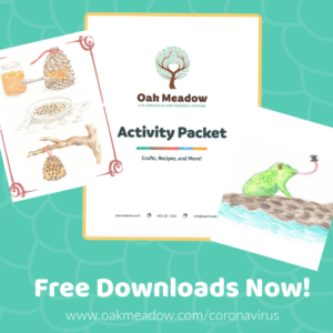 Oak Meadow Curriculum Activity Packets #5 - Free Download