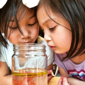 Oak Meadow students observing science experiement