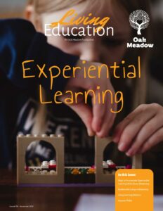 Living Education - Fall 2020, Experiential Learning Cover