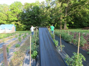 Bryce Hevener working on a farm