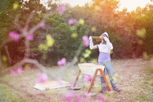 Jack D'Souza Beekeeping