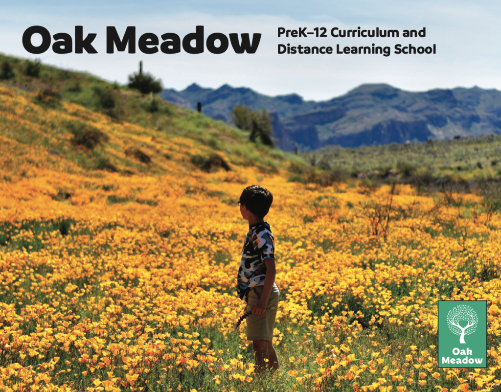 Oak Meadow Course Catalog Cover featuring a child in a field of flowers