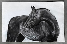 emelia thompson's drawing of a horse